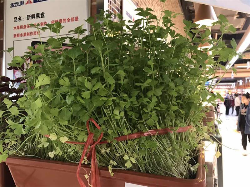 蔬果操作思路4.jpg 蔬果操作思路4.jpg