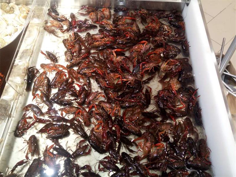 忻州大欣城店试营业啦8.jpg 忻州大欣城店试营业啦8.jpg